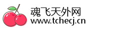 魂飞天外网